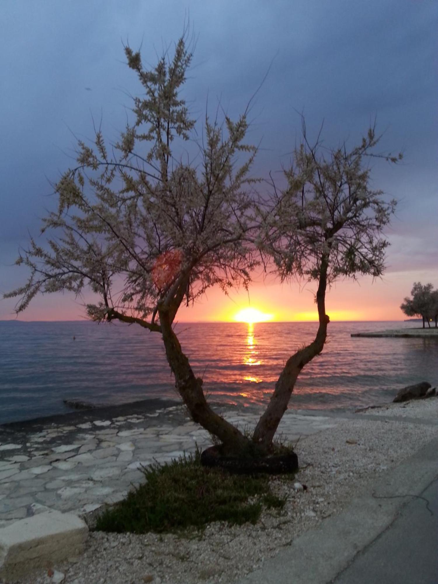 Apartmani Basioli Zara Esterno foto
